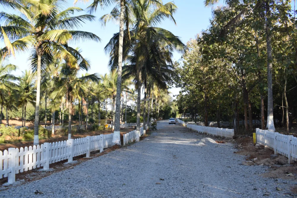 Vasudha Kalpataru Farmland