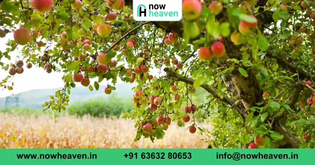 Farm land for sale near bangalore