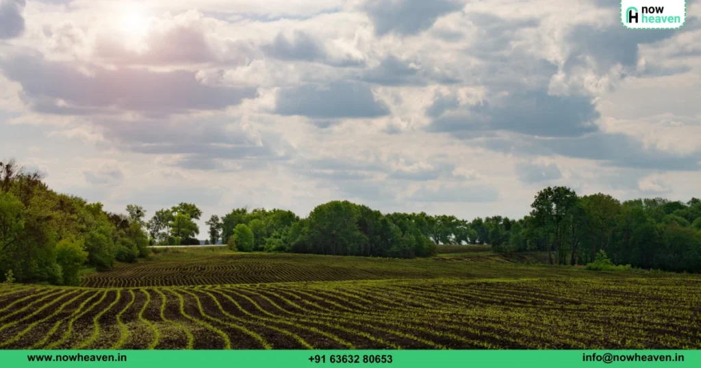 farmland for sale near Bangalore