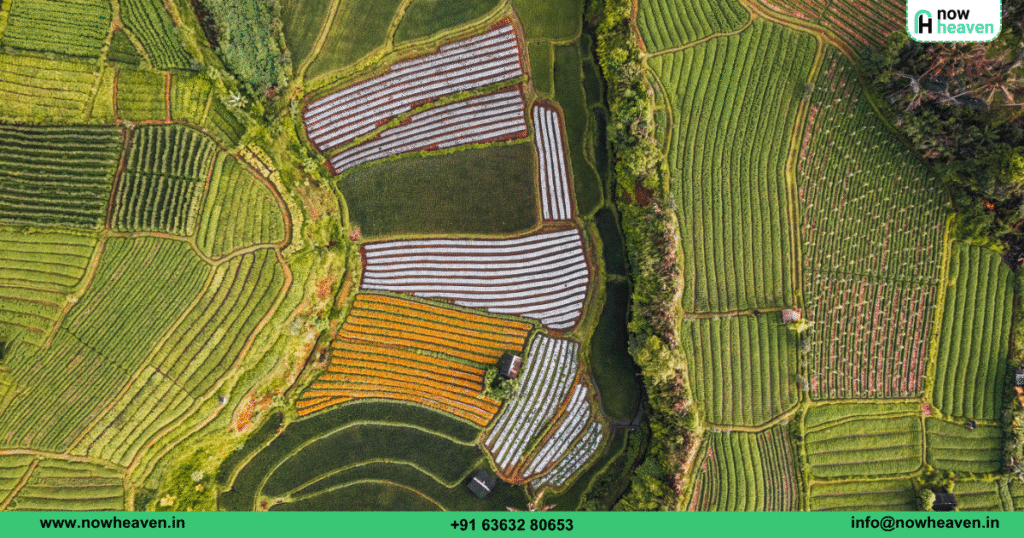 Agricultural Land in Karnataka