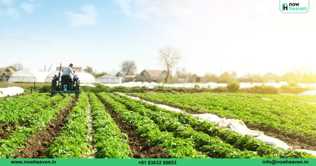 Farmland Investment Appreciation Rates