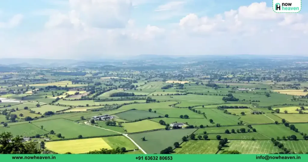 Managed Farmland Returns
