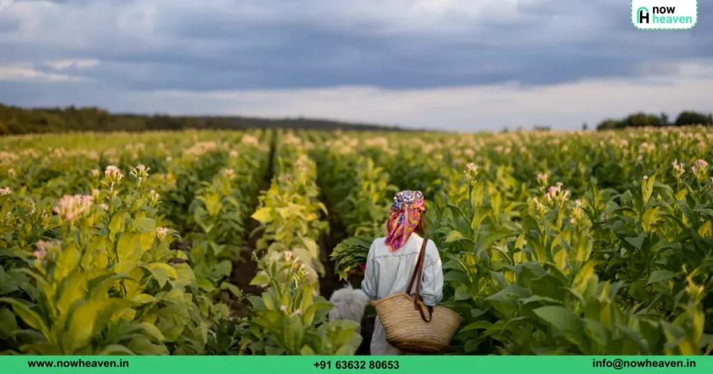 government schemes for farmland owners 2025
