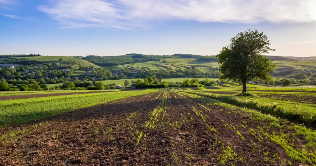buying Farmland Near Bangalore